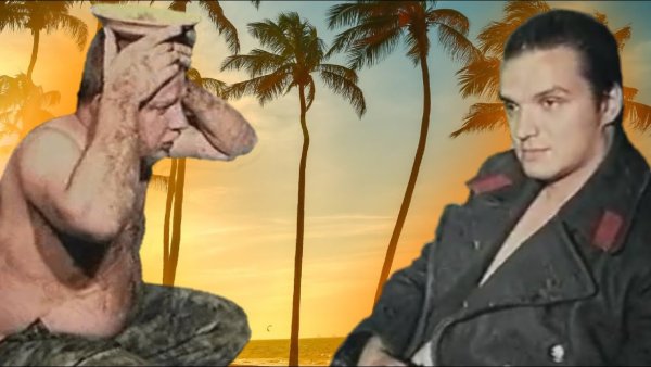 Владимир Епифанцев Слоник