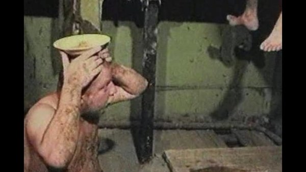 Епифанцев зелёном слонике