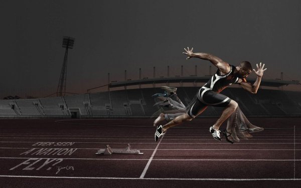 Плакат по баскетболу