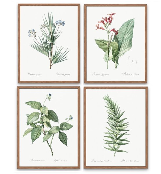 Ботанические постеры