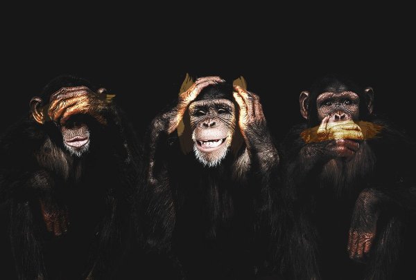 Три обезьяны арт