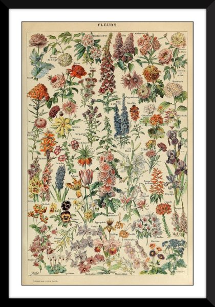 Адольф Милло Ларусс плакат