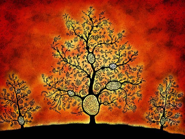 Дерево для древа жизни