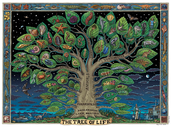 Дерево життя
