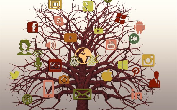 Креативное дерево