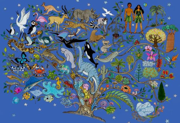 Эволюция живых существ