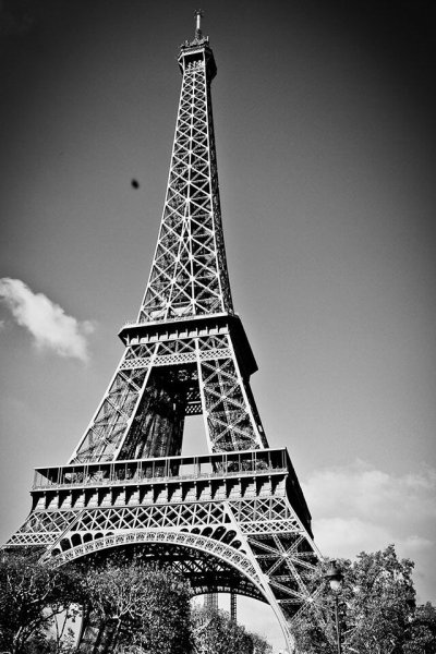 Черно белая вертикальная картина