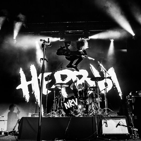 Нервы группа чб