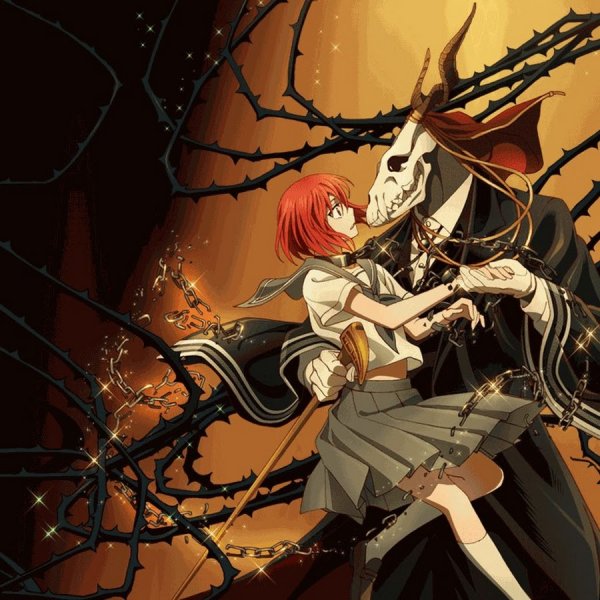 Невеста чародея мухи