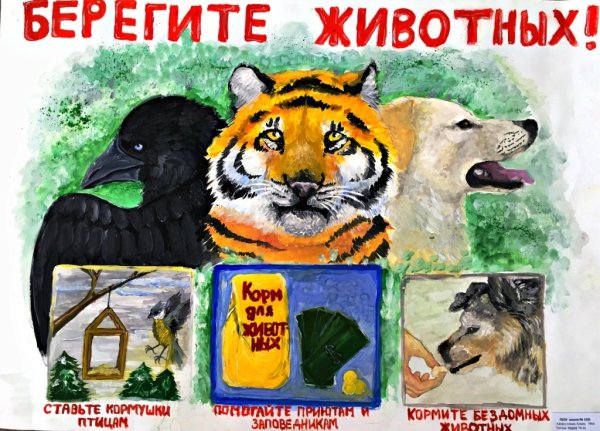 Плакат берегите животных