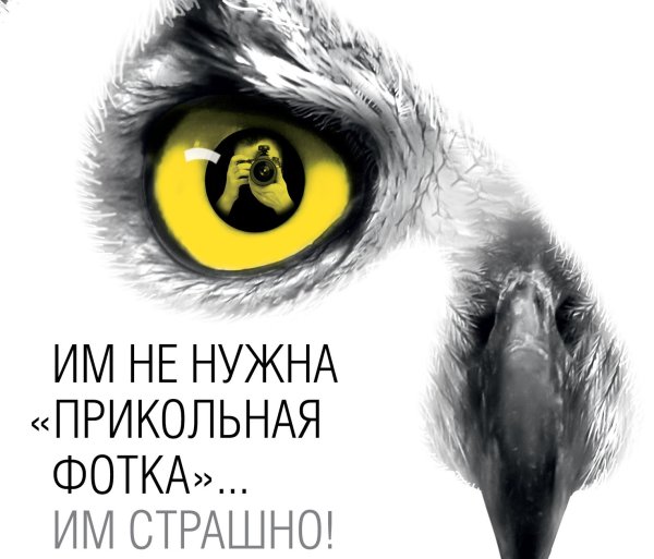 Плакат береги животных