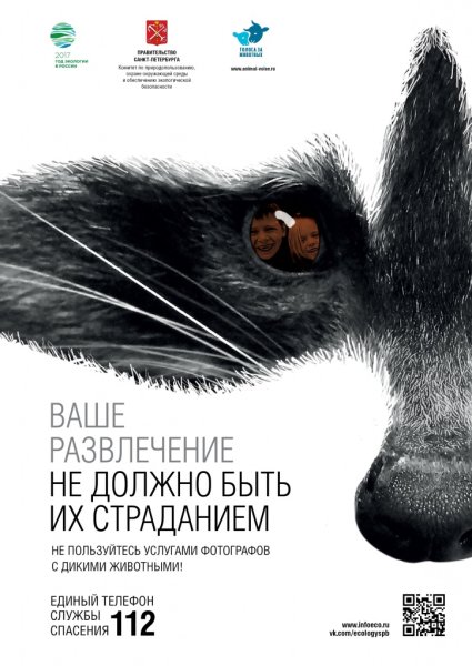 Плакат по защите животных