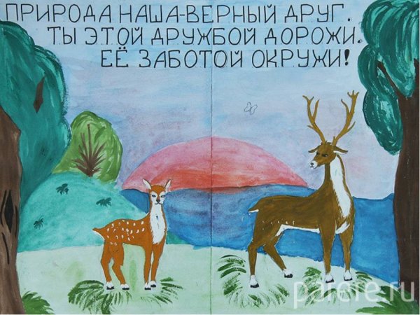 Плакат береги животных