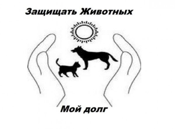 Плакат на тему береги природу