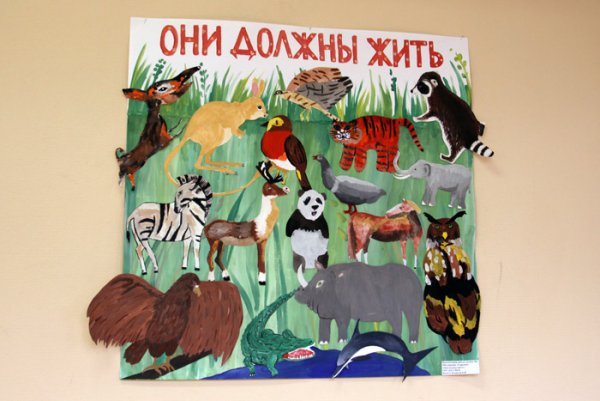 Плакат на тему охрана животных