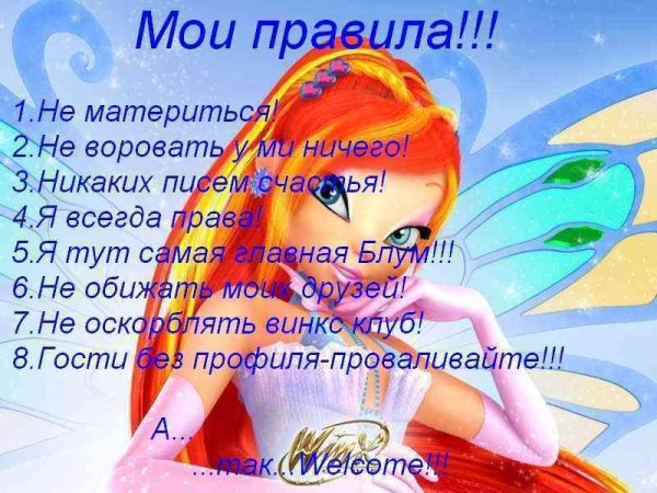 Винкс биография персонажей