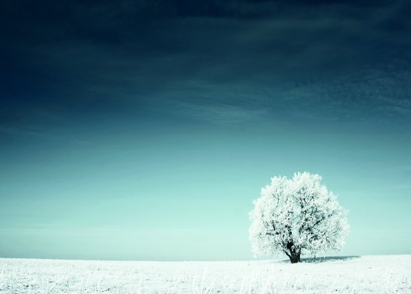 Зимние постеры