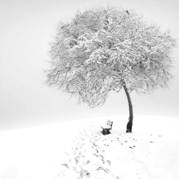 Пазл 1000 Eurographics