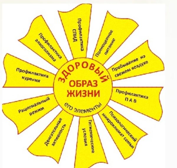 Элементы здорового образа жизни