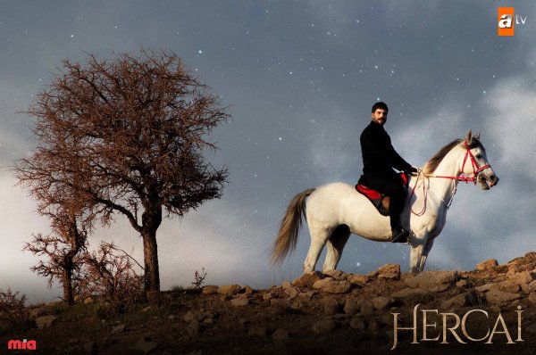 Сериал ветренный Постер