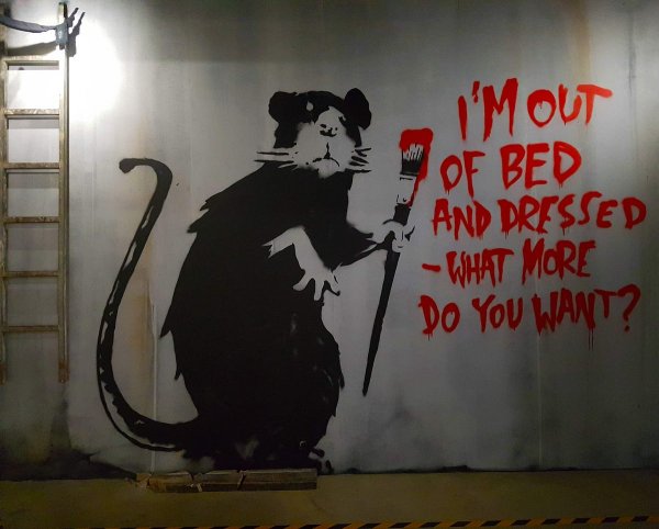 Рисунки в стиле Бэнкси