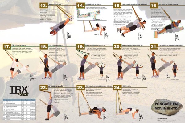 Базовые упражнения на петлях TRX