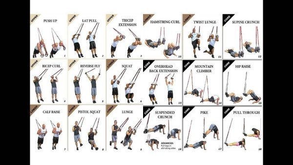 TRX петли тренировки для мужчин