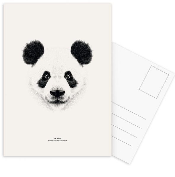 Панда Постер в детскую