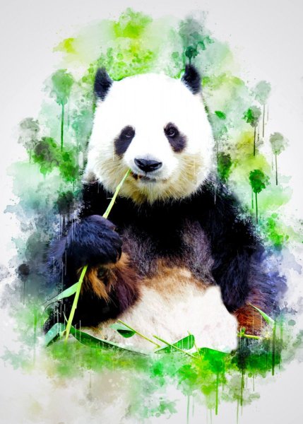 Постеры в хорошем качестве с пандами