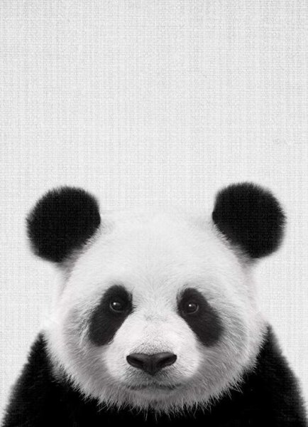 Панда акрилом на холсте