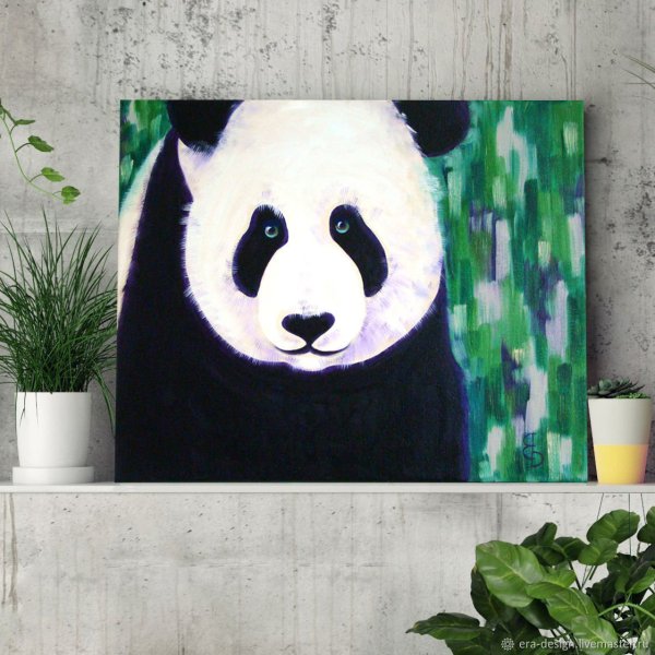 Панда боксер