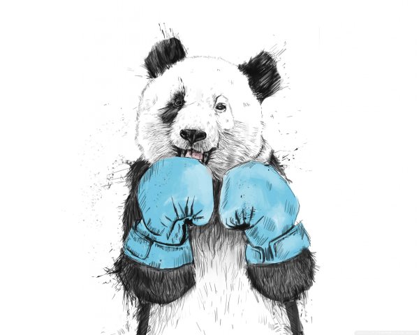 Картины с пандой на стену