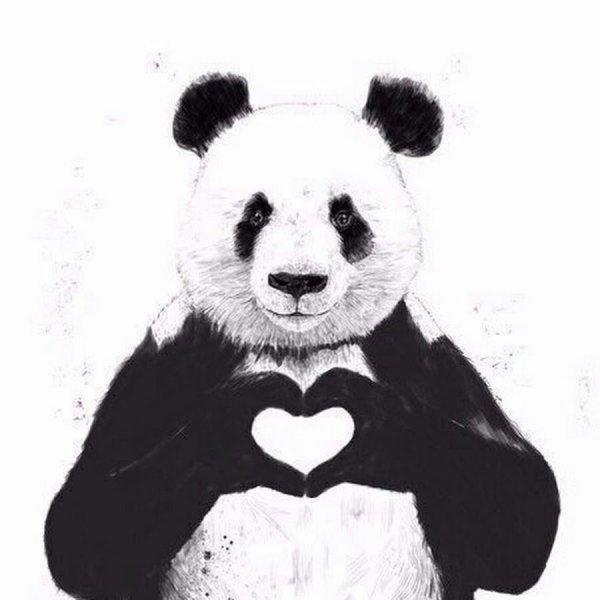 Плакат с пандочками