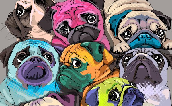 Разноцветные мопсы