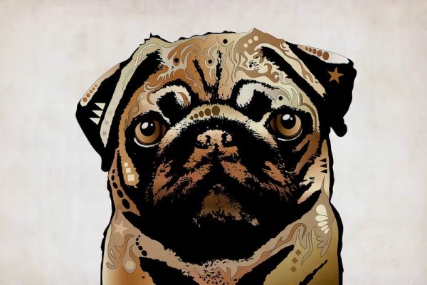 Мопс арт на аву