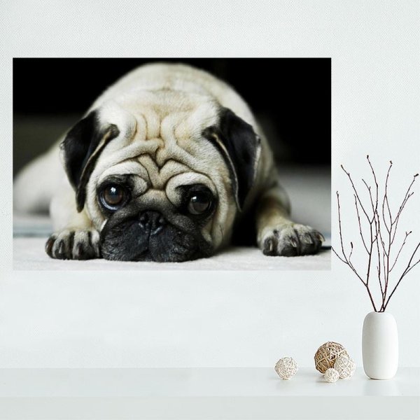 Энди Уорхол с мопсом