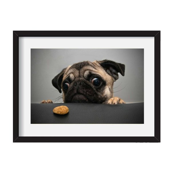 Ткань с мопсами