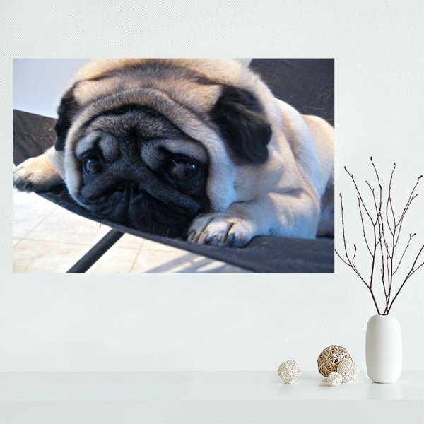 Иллюстрация для постера с собачкой