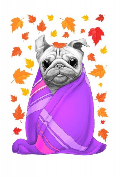 Мопс арт Постер