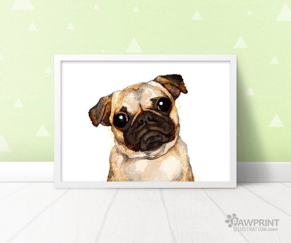 I do what i want Мопс картинки