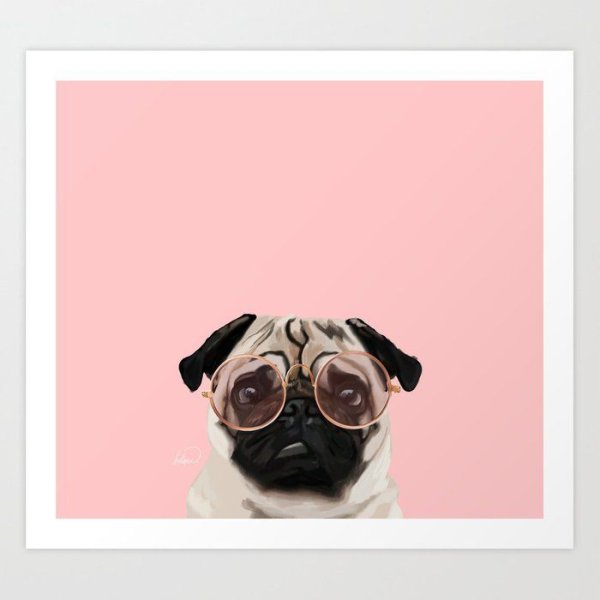 Мопс с плакатом