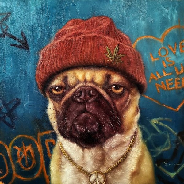 Дом там где твой Мопс