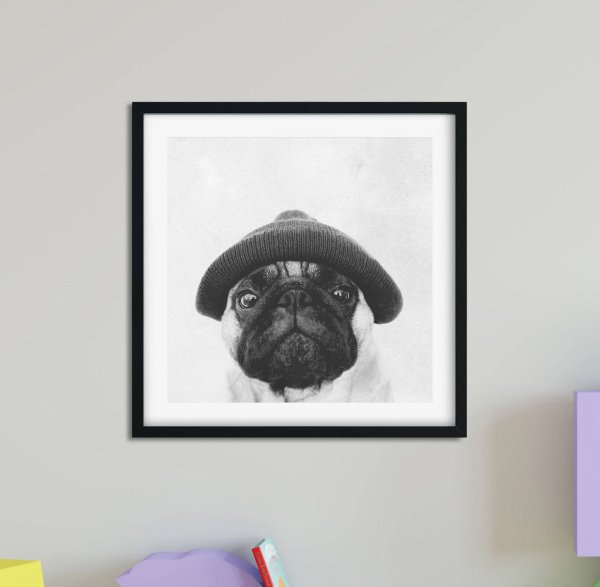 ~Pugs and Shemeless one Love 💀🧋🦑