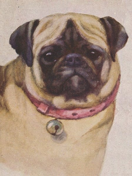 Рисунки для срисования виде МОПСА