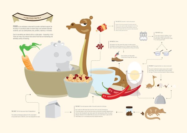 Плакат инфографика