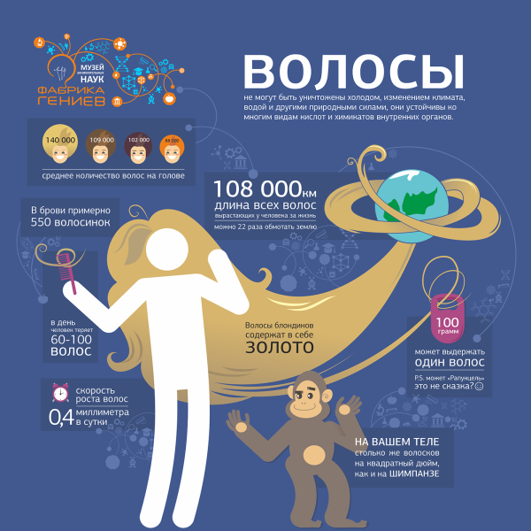 Плакат с инфографикой