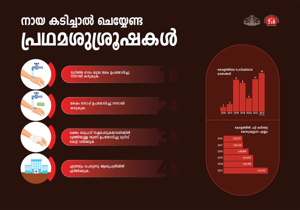 Инфографика реклама