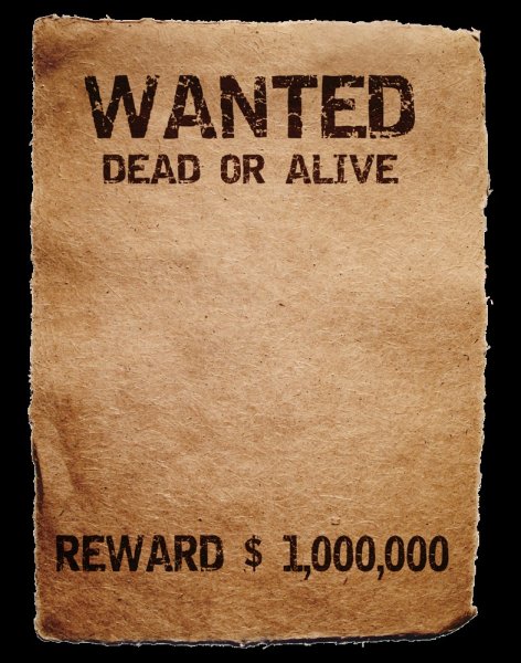 Листовка wanted