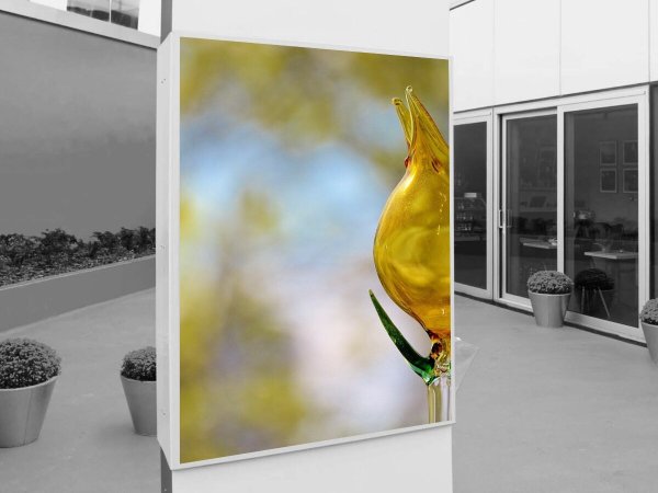 Стеклянные картины в интерьере