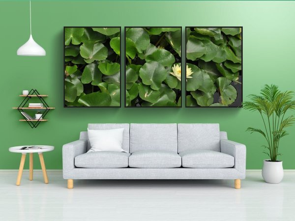 The White Lotus Постер